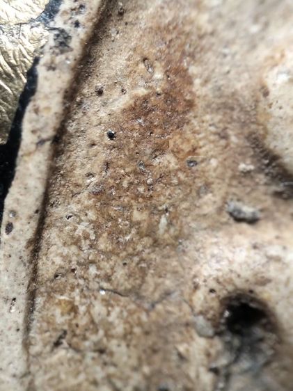 พระสมเด็จเนื้อหนึบนุ่มครับ รูปที่ 13