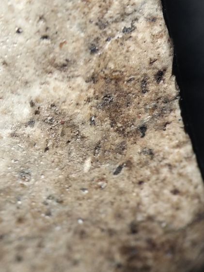 พระสมเด็จเนื้อหนึบนุ่มครับ รูปที่ 18