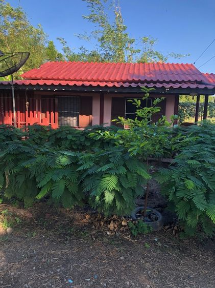 มีบางส่วน 2013 ขายบ้านพร้อมที่ดินที่เป็นสวน จำนวน 7.1ไร่ รูปที่ 3