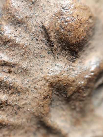 พระวัดลิงขบเนื้อดินครับ รูปที่ 3