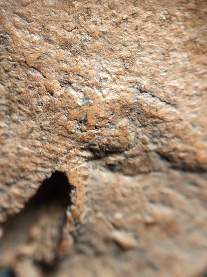 พระวัดลิงขบเนื้อดินครับ รูปที่ 14