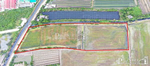 ซื้อทำกำไรได้มากกว่า กับที่ทรงสวย 14 ไร่เศษ หน้ากว้าง 97 ม. ใกล้ ถ. ตัดใหม่ กัลปพฤกษ์ – พุทธสาคร KK5104S รูปที่ 2