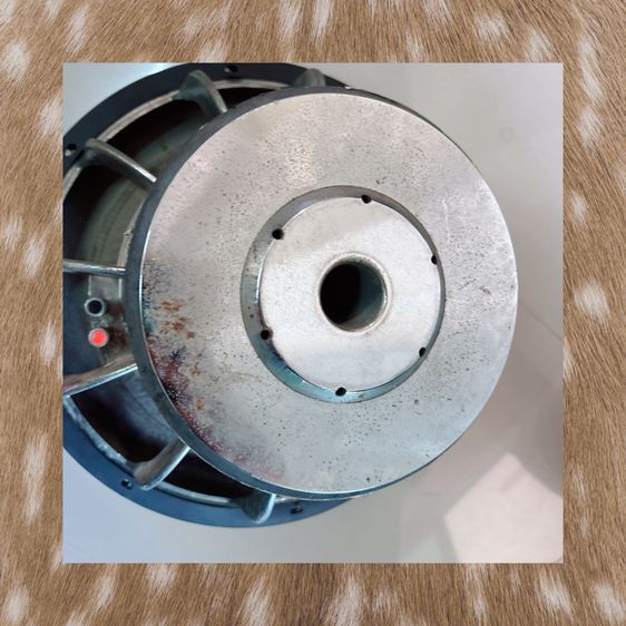 ขายดอกลำโพง  รูปที่ 6