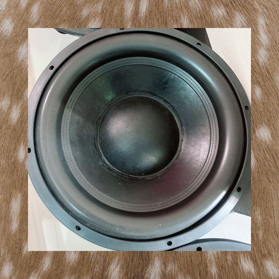 ขายดอกลำโพง  รูปที่ 4