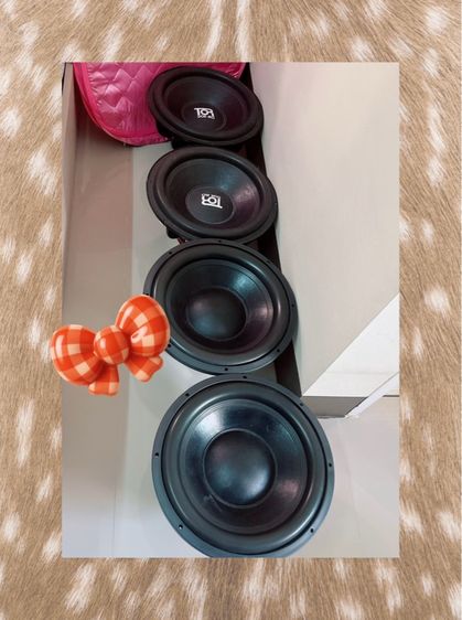 ขายดอกลำโพง  รูปที่ 7