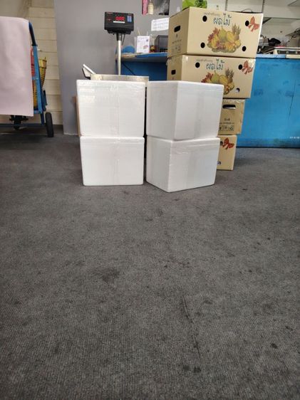 ขายกุ้งลายเสือธรรมชาติจากจันทบุรี 1ก.ก. รูปที่ 6