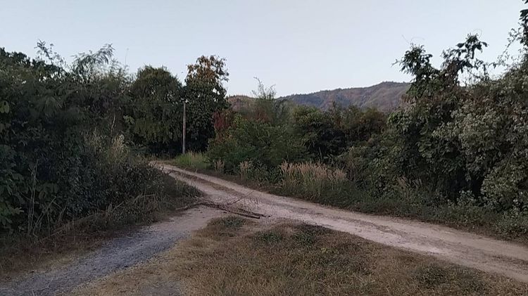 ที่ดิน 2.5 ไร่ ถมแล้วไร่ครึ่ง (1.5 ล้านบาท) ติดถนนในซอย ห่างจากถนนใหญ่ไม่ไกล จ.สระบุรี รูปที่ 2