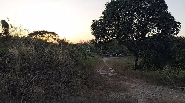 ที่ดิน 2.5 ไร่  ถมแล้วไร่ครึ่ง (1.5 ล้านบาท) ติดถนนในซอย ห่างจากถนนใหญ่ไม่ไกล จ.สระบุรี