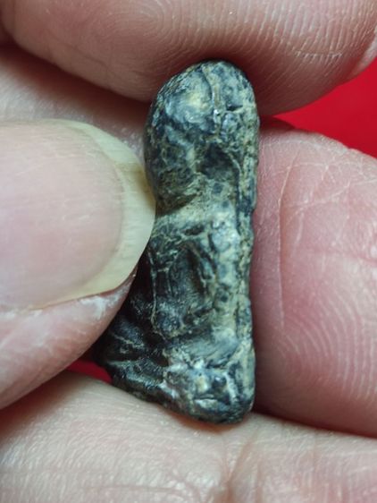 พระร่วงนั่งเชตุพน กรุวัดเชตุพน สุโขทัย เนื้อชิน รูปที่ 4