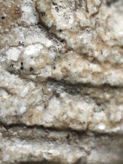 พระสมเด็จเนื้อตุ๊บตั๊บครับ รูปที่ 10