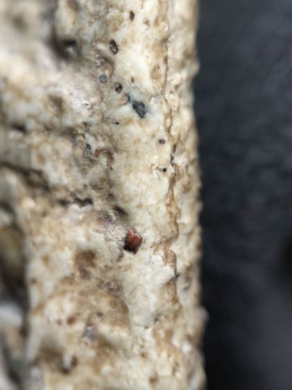 พระสมเด็จเนื้อตุ๊บตั๊บครับ รูปที่ 12