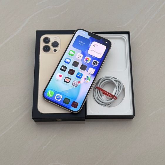 iphone 13 pro max 256g