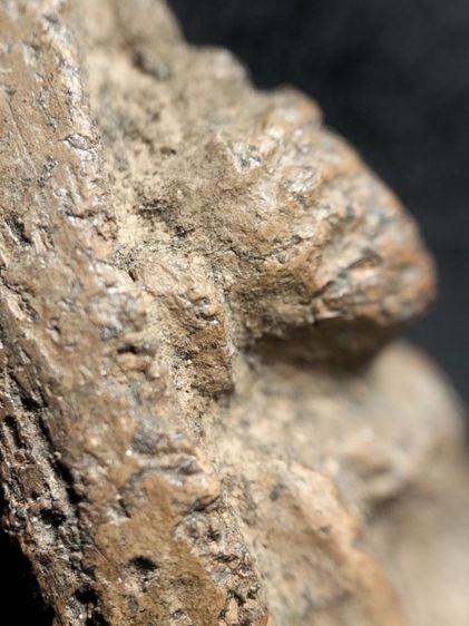 พระวัดตะไกรหน้าครุฑอยุธยาครับ รูปที่ 18