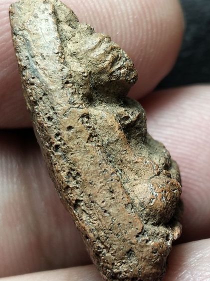 พระวัดตะไกรหน้าครุฑอยุธยาครับ รูปที่ 11