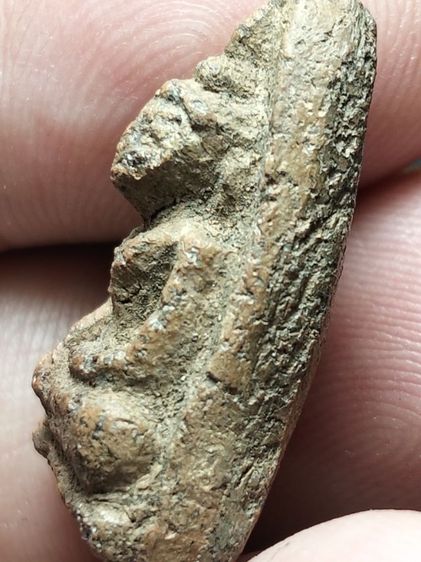 พระวัดตะไกรหน้าครุฑอยุธยาครับ รูปที่ 12