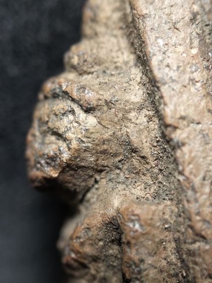 พระวัดตะไกรหน้าครุฑอยุธยาครับ รูปที่ 17