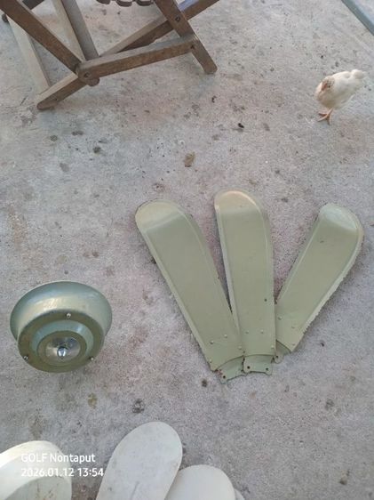 พัดลมเพดาน ลัคกี้ 36นิ้วกับ48นิ้ว มือสอง(ไม่มีขาก้านกับฝาครอบ) รูปที่ 2