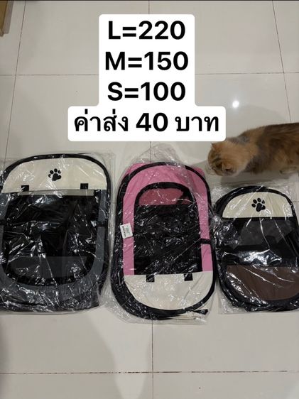 คอกแมว รูปที่ 3