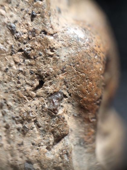 ❌ปิดครับ❌พระนางพญาเนื้อดินครับ รูปที่ 16