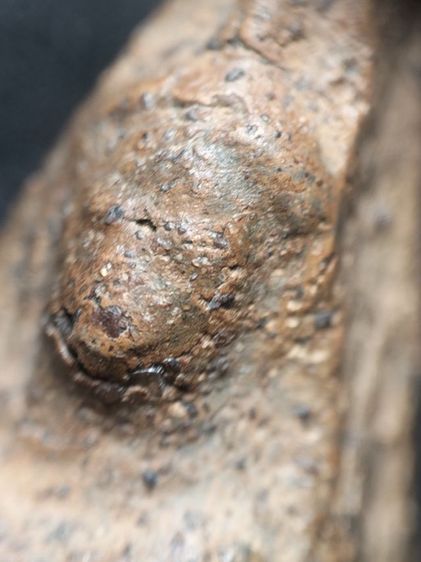 ❌ปิดครับ❌พระนางพญาเนื้อดินครับ รูปที่ 5