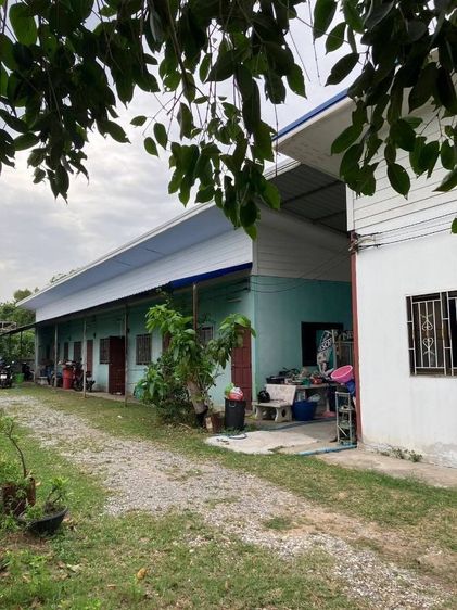 ไม่มี ใช่ ขายด่วนห้องเช่า6ห้องอำเภอเมืองนครราชสีมาติดถนนสุระ2
ขายพร้อม​บ้าน​1​หลัง

ขนาดที่ดิน 202ตร.ว

 รูปที่ 4