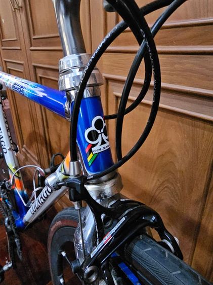 colnago master mapei รูปที่ 5