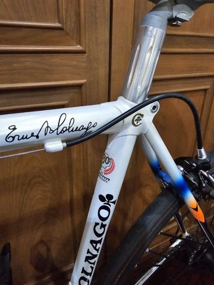 colnago master mapei รูปที่ 17