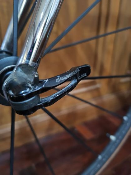 colnago master mapei รูปที่ 8