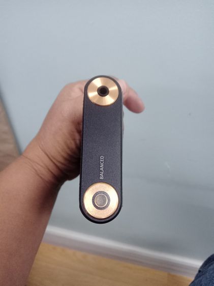 SONY WALKMAN NW-WM1A รูปที่ 2