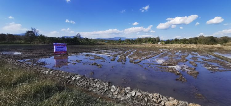 ขายที่ถูกหลังตลาดแม่มาลัย