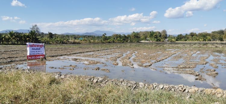 ขายที่ถูกหลังตลาดแม่มาลัย รูปที่ 4