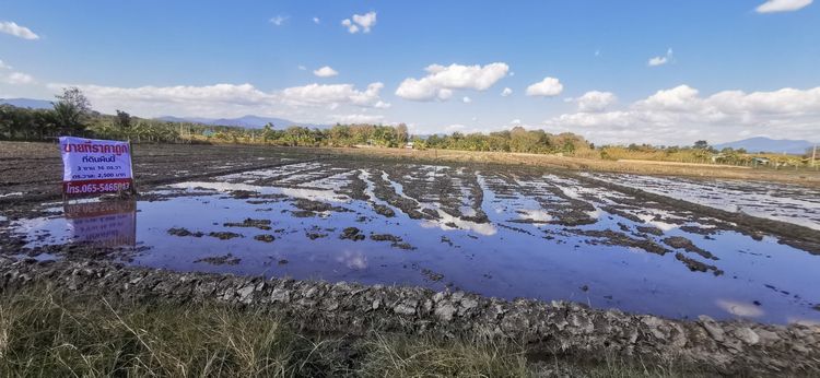 ขายที่ถูกหลังตลาดแม่มาลัย รูปที่ 3