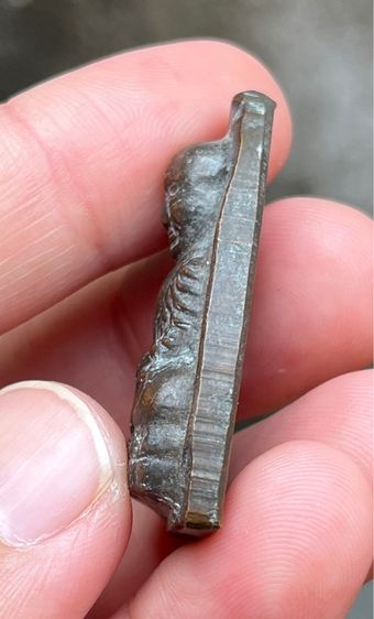 หลวงปู่ทวด รูปที่ 4