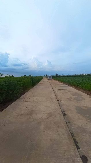 ใช่ ขายที่ดินตำบลหัวทะเลอำเภอเมืองนครราชสีมา

ขนาดที่ดิน 10 ไร่ นส 3 ก

 รูปที่ 2