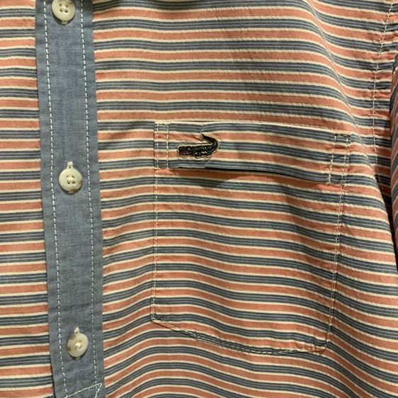 เชิ้ต Crocodile  รูปที่ 3