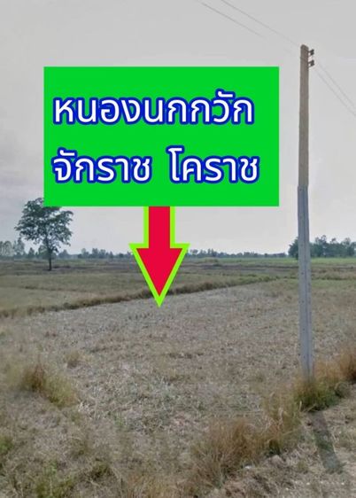 ขายที่ดินบ้านหนองนกกวักอำเภอจักราช จ.นครราชสีมา​
 ขนาด 10-1-50 ไร่
  รูปที่ 3