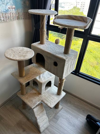 คอนโดแมวมือสอง สูง135cm สีครีม พร้อมเชือกซ่อม ยังแข็งแรง ภาพพอใช้ รูปที่ 4