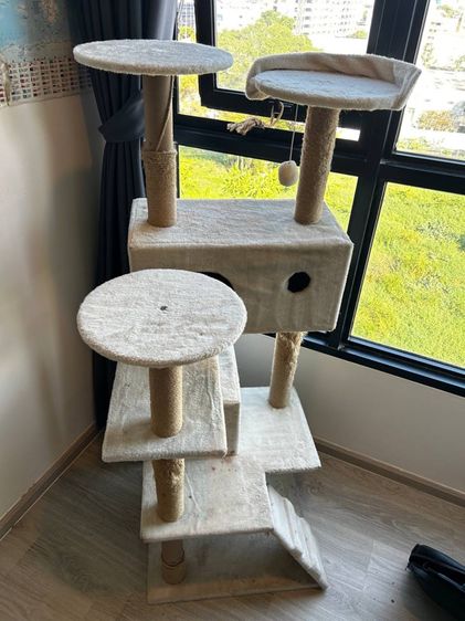 คอนโดแมวมือสอง สูง135cm สีครีม พร้อมเชือกซ่อม ยังแข็งแรง ภาพพอใช้ รูปที่ 3