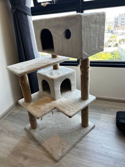 คอนโดแมวและที่ลับเล็บ คอนโดแมวมือสอง สูง135cm สีครีม พร้อมเชือกซ่อม ยังแข็งแรง ภาพพอใช้