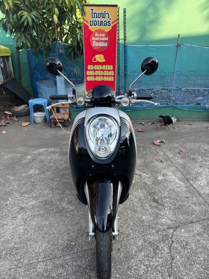HONDA Scoopy เครื่องดีมากสีสวยมากต้องมาดูของจริงมีสถานที่ให้ทดลองขับขี่ก่อนซื้อ รูปที่ 5