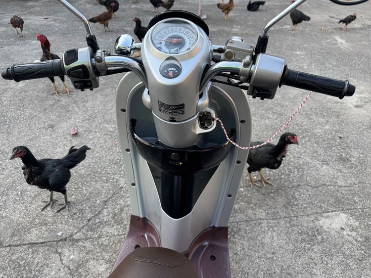 HONDA Scoopy เครื่องดีมากสีสวยมากต้องมาดูของจริงมีสถานที่ให้ทดลองขับขี่ก่อนซื้อ รูปที่ 6