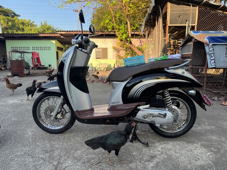 HONDA Scoopy เครื่องดีมากสีสวยมากต้องมาดูของจริงมีสถานที่ให้ทดลองขับขี่ก่อนซื้อ รูปที่ 3