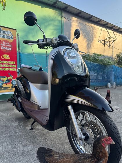 HONDA Scoopy เครื่องดีมากสีสวยมากต้องมาดูของจริงมีสถานที่ให้ทดลองขับขี่ก่อนซื้อ รูปที่ 7