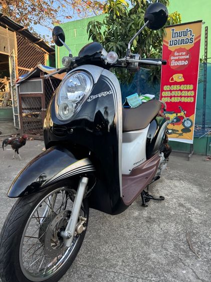 HONDA Scoopy เครื่องดีมากสีสวยมากต้องมาดูของจริงมีสถานที่ให้ทดลองขับขี่ก่อนซื้อ รูปที่ 8