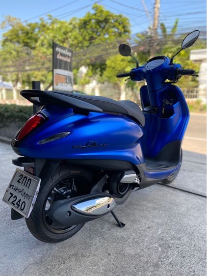 grand filano  รูปที่ 6