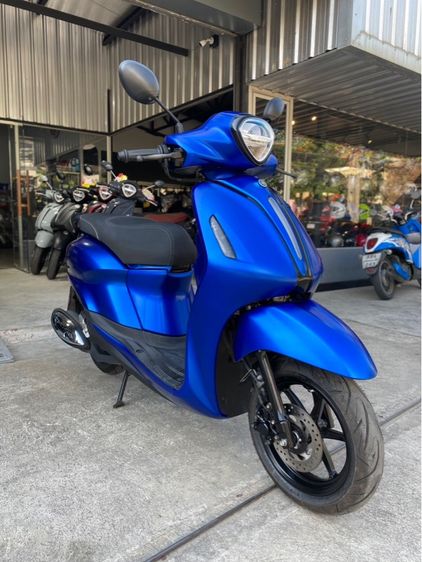 grand filano  รูปที่ 2