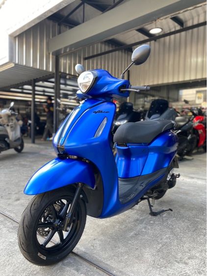 grand filano  รูปที่ 11