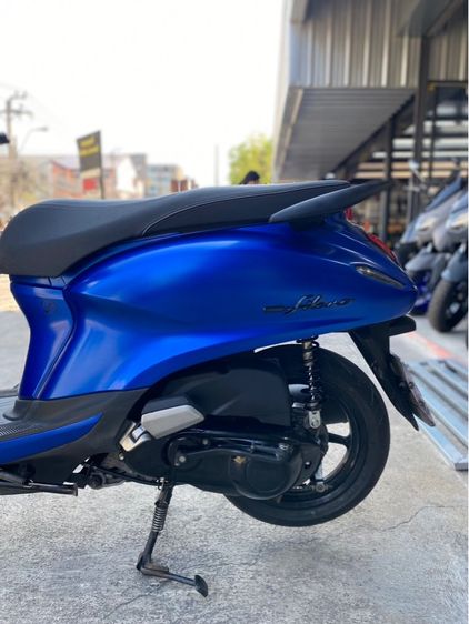 grand filano  รูปที่ 8