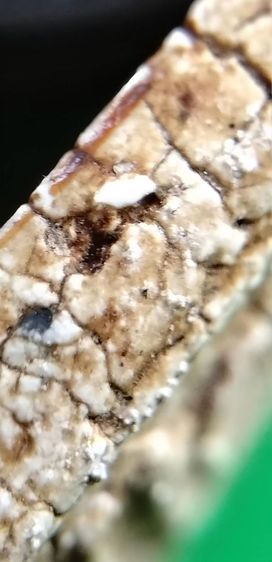 พระสมเด็จวัดระฆัง บางขุนพรหม เกศไชโย หลวงปู่ภู หลวงปู่นาค รูปที่ 4