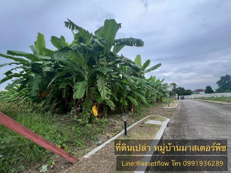 ที่ดินเปล่า  หมู่บ้านมาสเตอร์พีซ รูปที่ 4